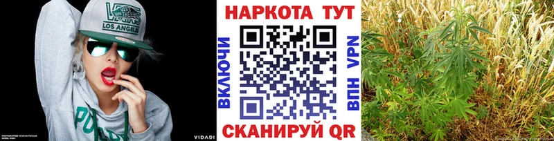 Магазины продажи наркотиков Александров ГАШ Кокаин АМФЕТАМИН МЕФ