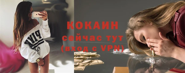 мяу мяу кристалл Няндома