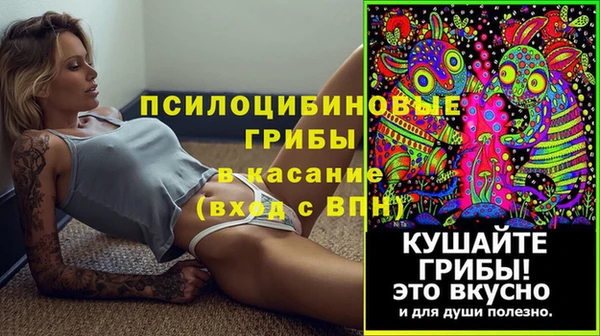 мяу мяу кристалл Няндома