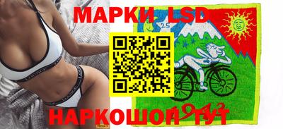 крисы Гатчина