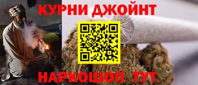 крисы Гатчина
