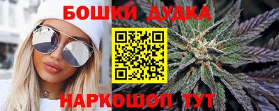крисы Гатчина