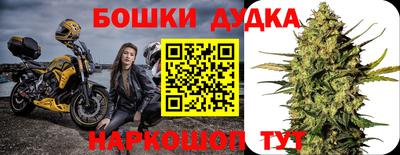 прущие крисы Абакан