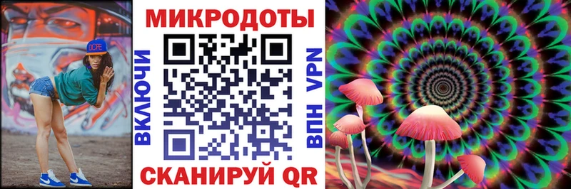 Галлюциногенные грибы Psilocybe  Александров 