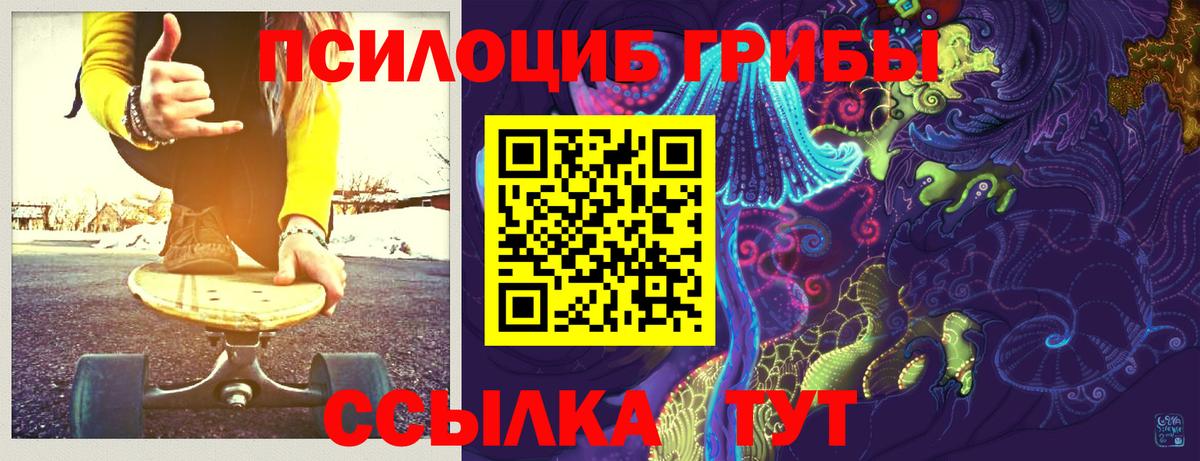 Галлюциногенные грибы мицелий  Псилоцибиновые грибы Psilocybe  Александров  Вход с VPN 
