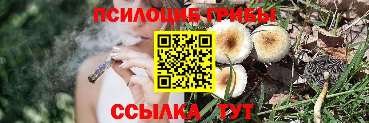 Галлюциногенные грибы MAGIC MUSHROOMS  Вход с VPN  Александров  Галлюциногенные грибы MAGIC MUSHROOMS 